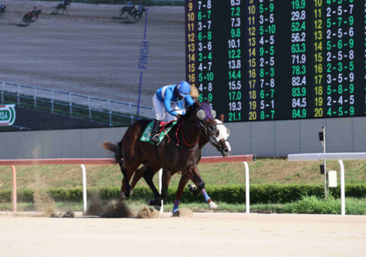 Rookie Stakes, 서울·부경서 신예 스타 탄생