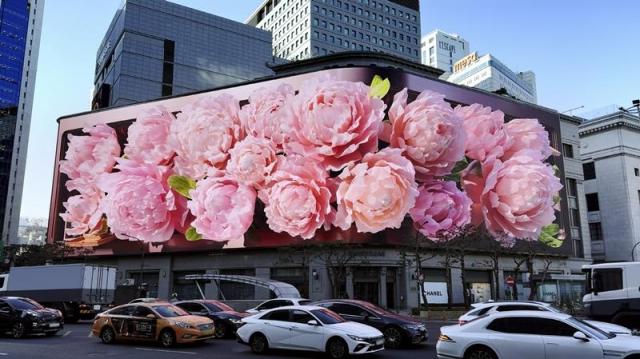 크리스마스 캠페인 음악가의 수트케이스 미디어 화면 사진신세계백화점