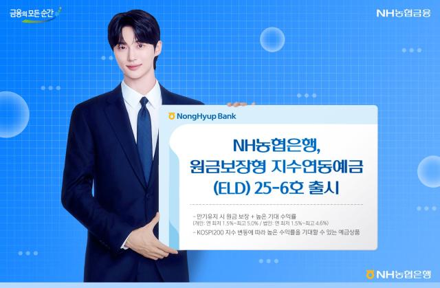 NH농협은행 원금보장형 지수연동예금 25-6호 출시 사진농협은행
