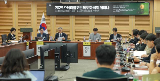 25일 서울 여의도 국회의원회관에서 열린 2025 스테이블코인 제도화 국회 세미나에서 패널토론을 하고 있다 20250825사진유대길 기자 dbeorlf123ajunewscom