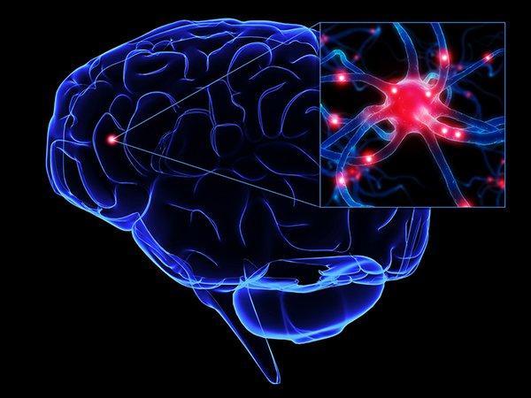 [K-Tech] Shining light on brain cuts urge to drink, Korean researchers report