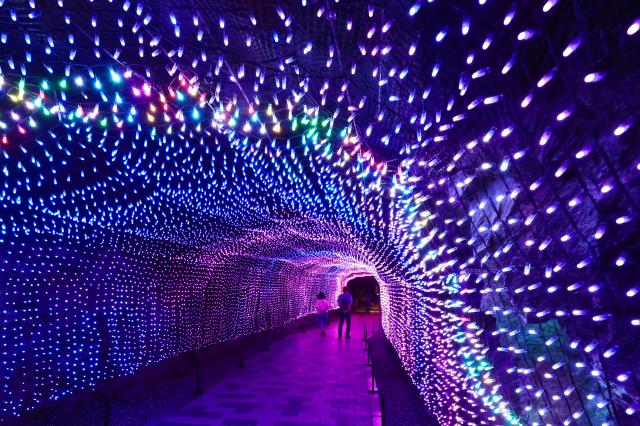 PHOTOS: From darkness to light, Gwangmyeong Cave