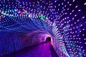 PHOTOS: From darkness to light, Gwangmyeong Cave