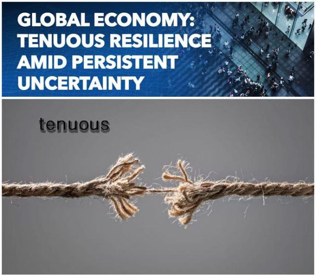 삽화는 2025년 7월 IMF가 경제전망World Economic Outlook update 보고서를 발표할 때 홈페이지에 게시한 그림이다 사진IMF