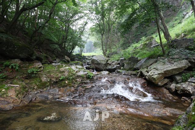 김천 직지사