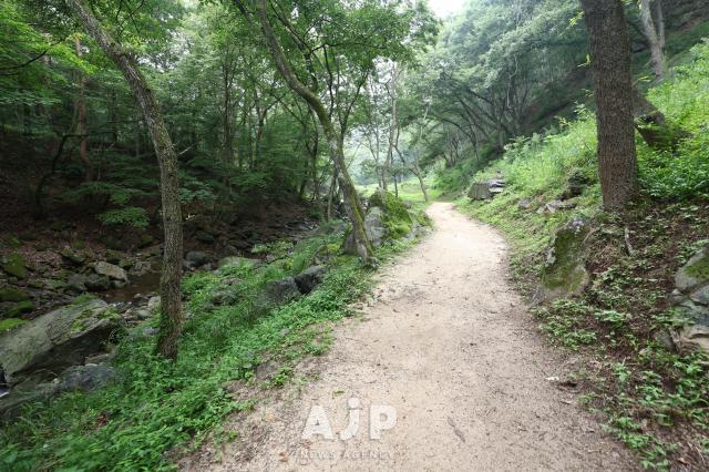 김천 직지사