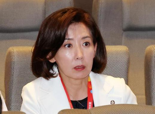 6선 법사위원장 추미애에 맞설 野 5선 판사 출신 나경원…국민의 명령