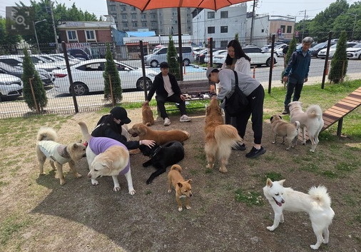 순천시는 오는 30일토 순천시 반려동물 실외놀이터에서 댕터파크에 빠져보개 행사를 개최한다 사진순천시