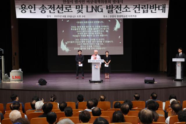 사진안성시
