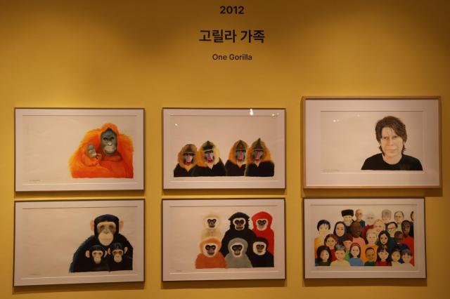 사진 김호이 기자