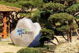 민생회복 소비쿠폰 지급 완료율 98를 달성한 양구군 로고사진박종석 기자