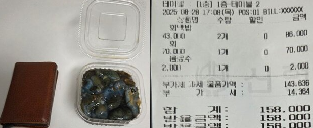 사진보배드림