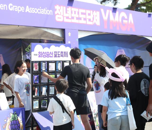 청년포도단체 YMGA가 축제에서 송산포도를 홍보하고 있다 사진화성시