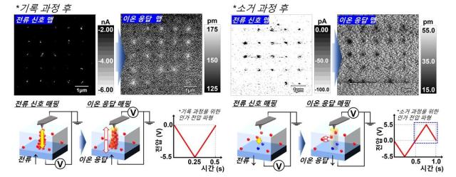 KAIST uncovers hidden mechanism in next-generation memory technology