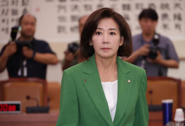 지난 2일 서울 여의도 국회에서 열린 법제사법위원회 전체회의에서 국민의힘 나경원 의원이 여당 의원들과 인사하고 자리로 향하고 있다 사진연합뉴스