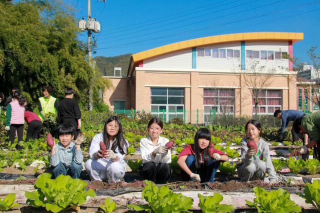 전주 대성초등학교에서 농어촌유학을 온 학생들이 고구마 수확을 체험하고 있다사진전북특별자치도교육청