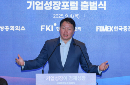 최태원 대기업 차등규제 철폐해야 경제가 산다