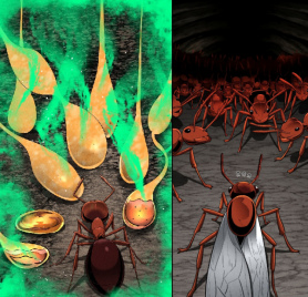 French bestseller Empire of the Ants to be released as webtoon