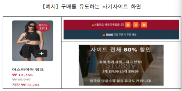 구매 유도 사기 사이트 모습 사진서울시