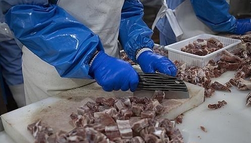 사진연합뉴스