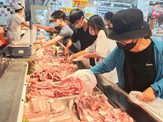 사진베트남통신사