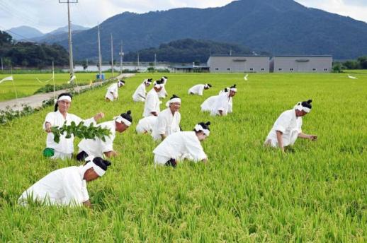 밀양시, 2025 백중마을 축제 성황리 개최