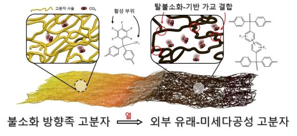 사진서강대학교