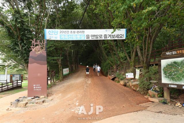 계족산 황톳길