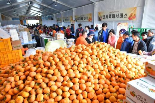 경북도, 가을 축제와 함께 하는 버스타고 경북관광 추진