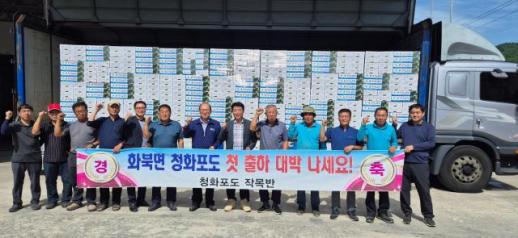 상주시 화북면 청화포도작목반캠벨 포도첫 출하