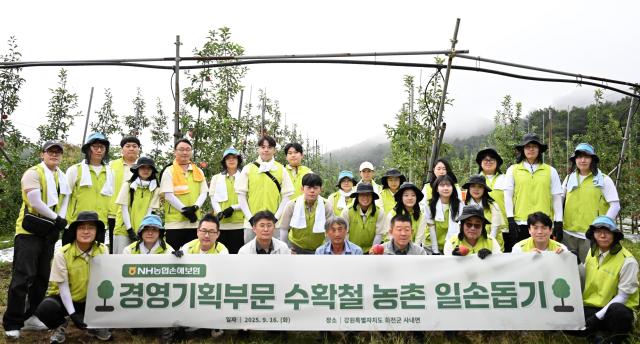 NH농협손해보험이 지난 16일 농번기 일손 부족으로 어려움을 겪고 있는 강원도 화천 소재 사과 농가를 찾아 수확철 일손돕기를 실시했다 사진NH농협손해보험
