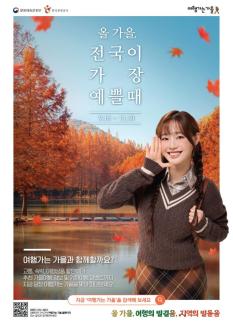 교통·숙박 할인에 지역 특색체험… 혜택 빵빵 가을여행 떠나요