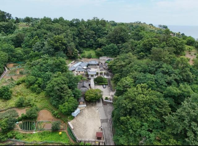감로사 전경 사진삼척시