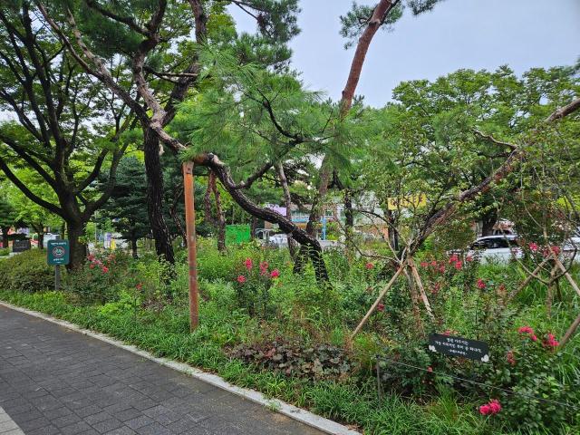 바람길숲을 조성한 보라매공원 일대사진서울시