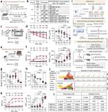 KAIST combines AI and light-based brain control to fight Parkinsons disease