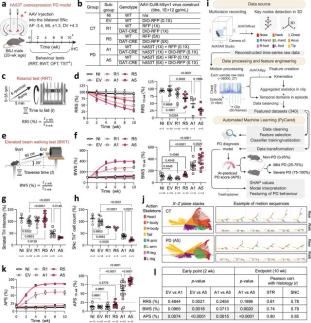 KAIST combines AI and light-based brain control to fight Parkinsons disease