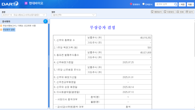 사진금융감독원 전자공시시스템