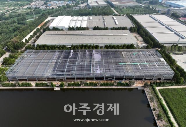 사진중국산동망