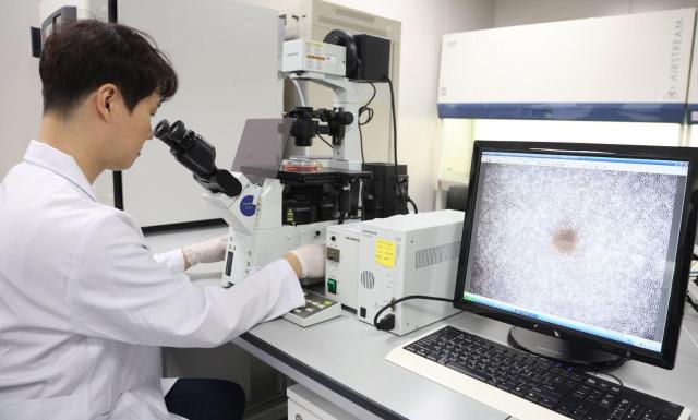 【图片提供 KGC人参公社】