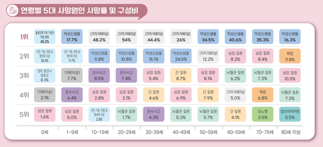 2024년 사망원인 통계자료통계청