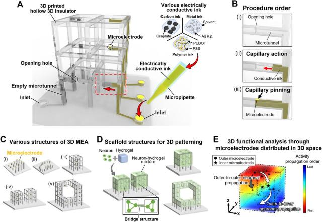 This image shows the fabrication approach and main features of the 3D microelectrode array MEA platform including the use of conductive ink different 3D chip structures and scaffolds for studying neuronal networks Courtesy of KAIST
