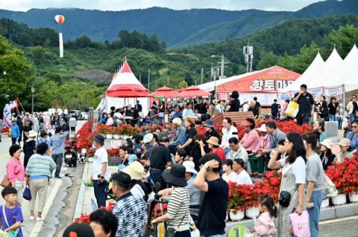 제19회 한우랑사과랑축제 대박났다
