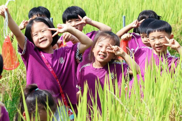 제13회 완주 와일드로컬푸드축제에서 어린이들이 메뚜기잡기 체험하며 즐거워하고 있다사진완주군