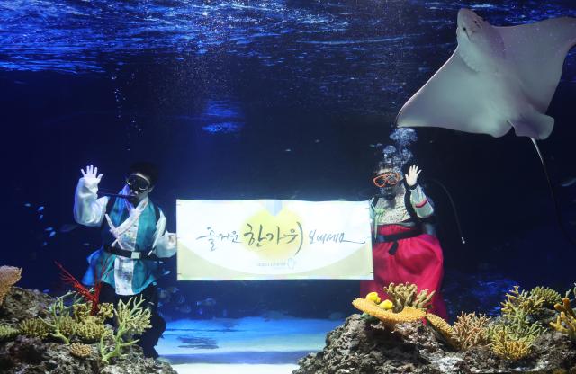 【图片提供 韩联社】