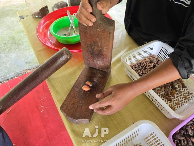 A tour guide gives demonstration on how to pluck coffee beans out from coffee cherries in a old-fashioned Malaysian method at Banguris Homestay in Sepang Selangor Sept 30 2025 AJP Kim Dong-young