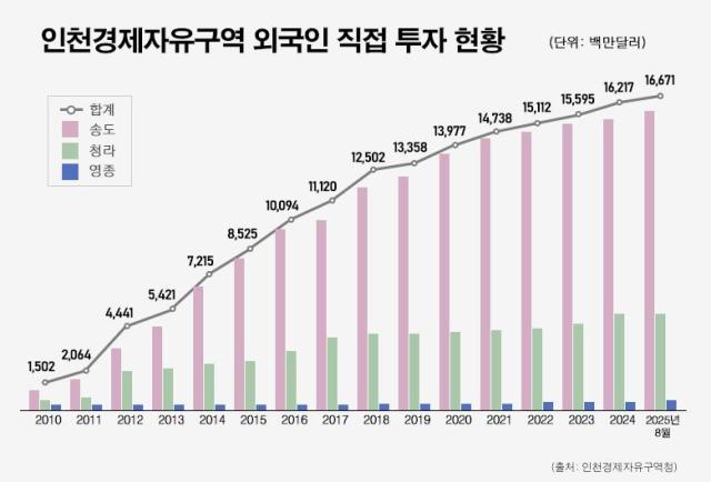 AJP 송지윤 그래픽 디자이너