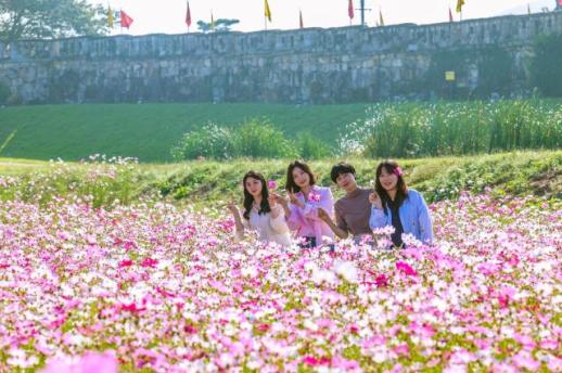 PHOTOS: October brings burst of color to Koreas landscapes