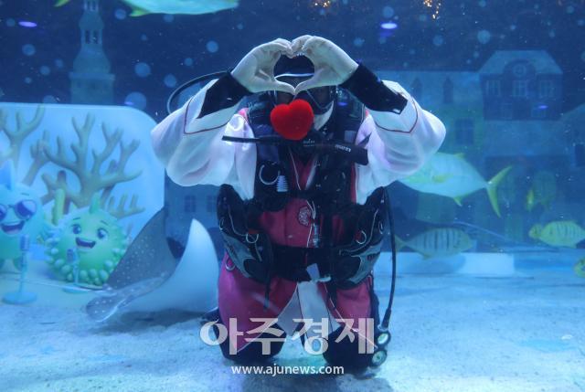 사진씨라이프 코엑스 아쿠아리움