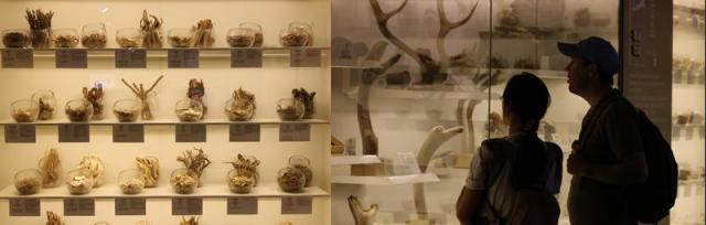 A couple looks at Korean herbs at Seoul K-Medi Center on Sept 29 2025 AJP Yoo Na-Hyun  Graphics by AJP Song Ji-yoon