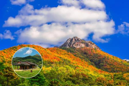 사진안산시
